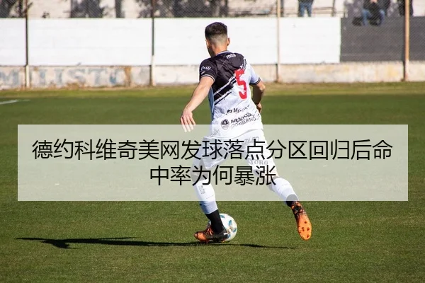 de-yue-ke-wei-qi-mei-wang-fa-qiu-luo-dian-fen-qu-hui-gui-hou-ming-zhong-lv-wei-he-bao-zhang-2-930.jpg